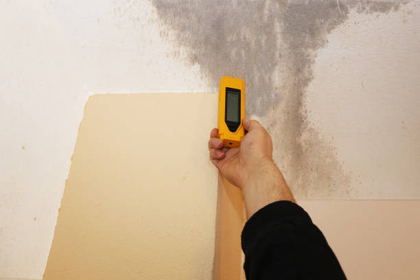 Forensic Mold Investigation in Hilton Head Island, SC