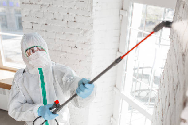 Reliable Hilton Head Island, SC Mold Removal Solutions