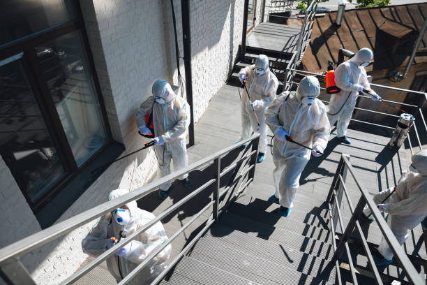 Best Comprehensive Air Testing for Mold Contaminants  in Hilton Head Island, SC