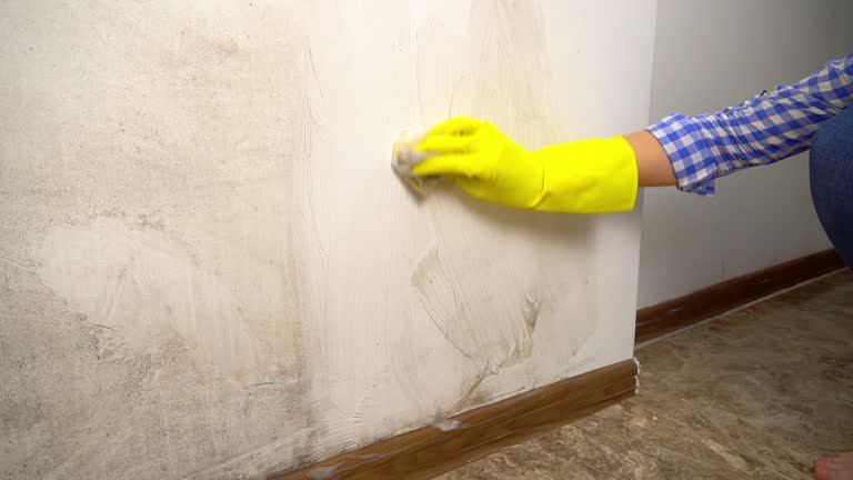 Dehumidification Services in Hilton Head Island, SC